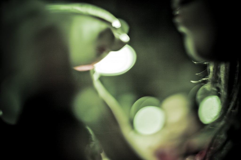 Absinthe Minded
