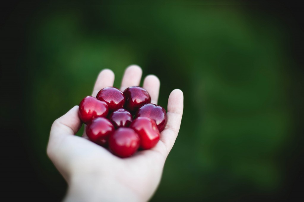 Cherry Fairy